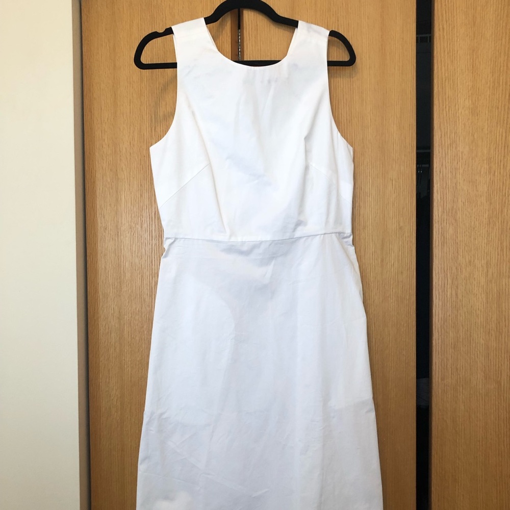 Everlane Clean Cotton Twist Back Dress
